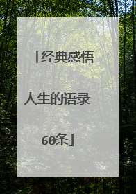 经典感悟人生的语录60条