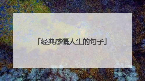 经典感慨人生的句子