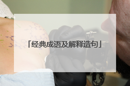 经典成语及解释造句
