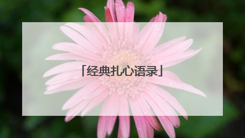 经典扎心语录