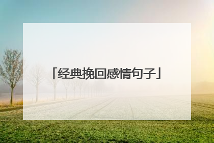 经典挽回感情句子