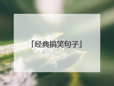 经典搞笑句子