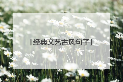 经典文艺古风句子