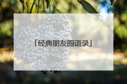 经典朋友圈语录
