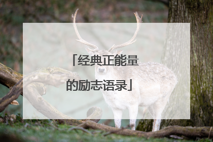 经典正能量的励志语录
