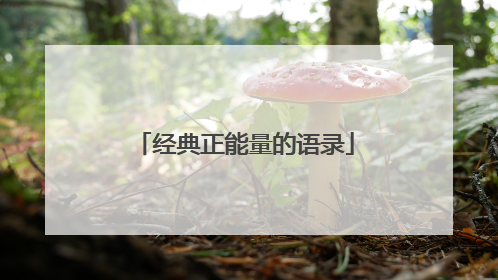 经典正能量的语录