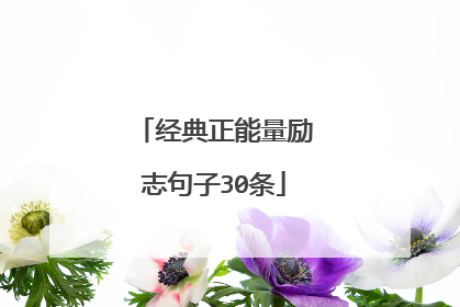 经典正能量励志句子30条