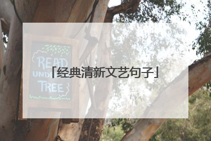 经典清新文艺句子