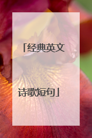 经典英文诗歌短句