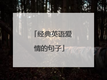 经典英语爱情的句子