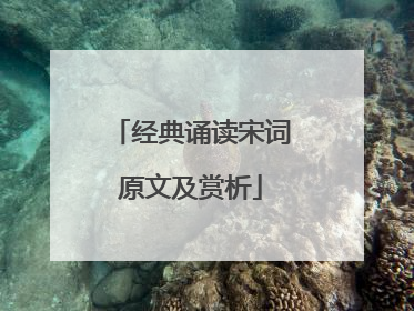 经典诵读宋词原文及赏析