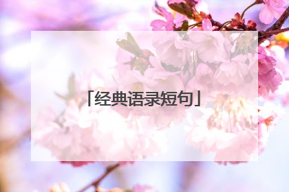 经典语录短句