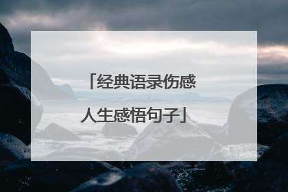 经典语录伤感人生感悟句子