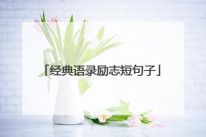 经典语录励志短句子