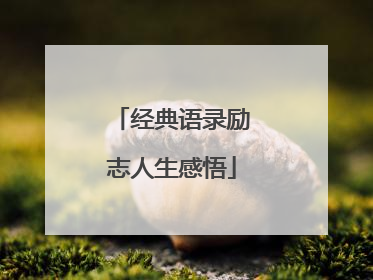 经典语录励志人生感悟