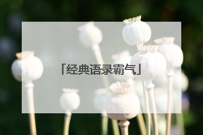 经典语录霸气