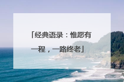 经典语录：惟愿有一程，一路终老