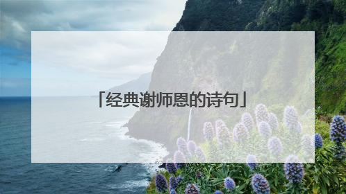 经典谢师恩的诗句