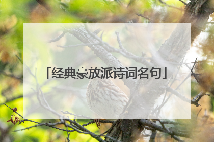 经典豪放派诗词名句
