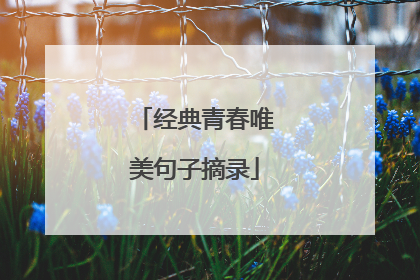 经典青春唯美句子摘录