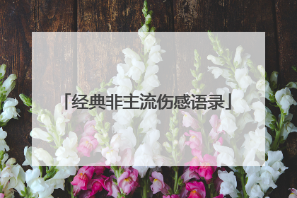 经典非主流伤感语录
