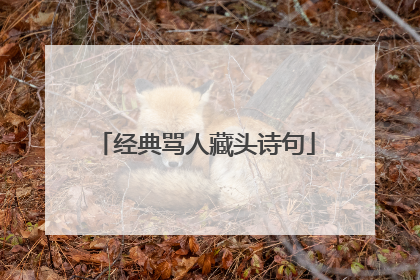 经典骂人藏头诗句