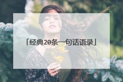 经典20条一句话语录