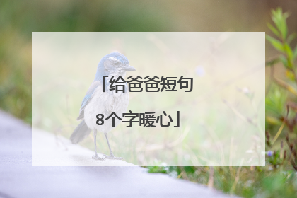 给爸爸短句8个字暖心