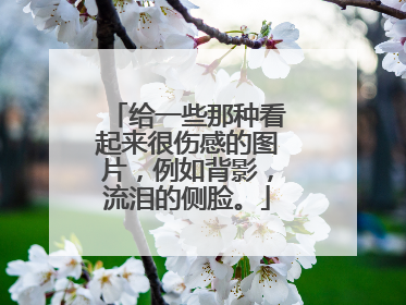给一些那种看起来很伤感的图片，例如背影，流泪的侧脸。
