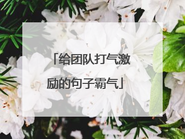 给团队打气激励的句子霸气