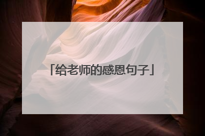给老师的感恩句子