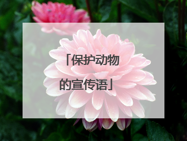 保护动物的宣传语