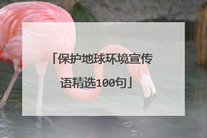 保护地球环境宣传语精选100句