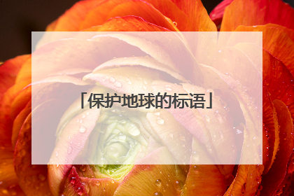 保护地球的标语
