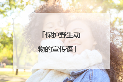 保护野生动物的宣传语