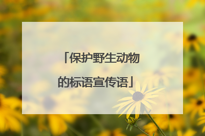 保护野生动物的标语宣传语