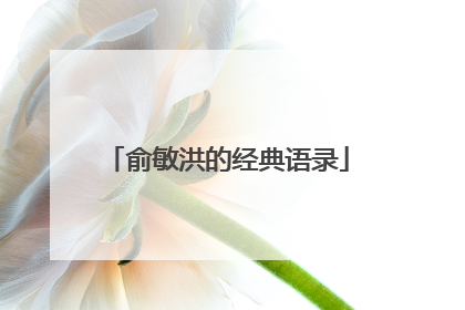 俞敏洪的经典语录