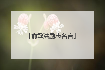 俞敏洪励志名言