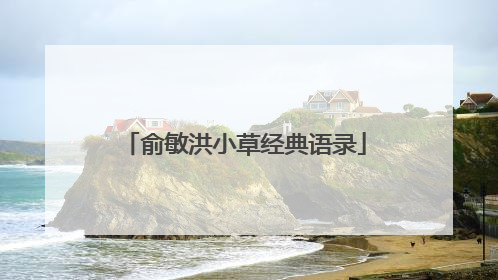 俞敏洪小草经典语录