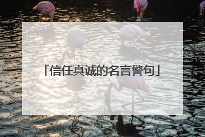 信任真诚的名言警句