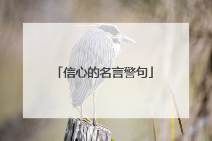 信心的名言警句
