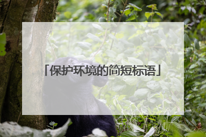 保护环境的简短标语