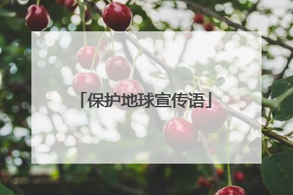 保护地球宣传语