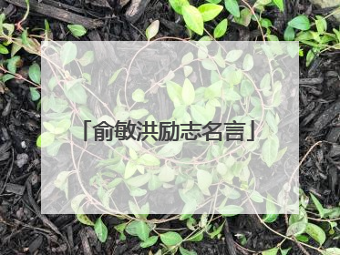 俞敏洪励志名言