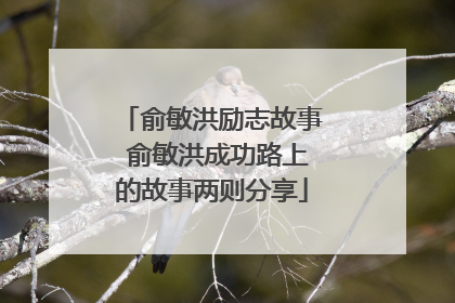 俞敏洪励志故事 俞敏洪成功路上的故事两则分享