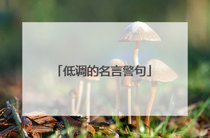 低调的名言警句