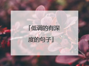 低调的有深度的句子