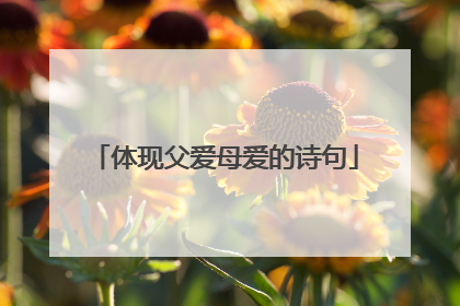 体现父爱母爱的诗句
