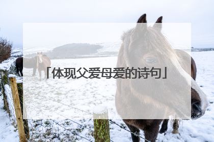 体现父爱母爱的诗句