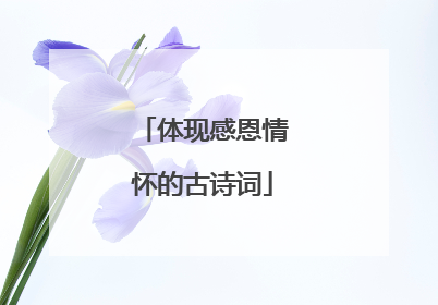 体现感恩情怀的古诗词